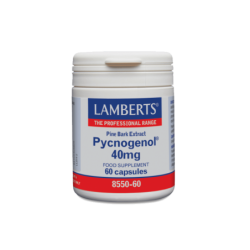 LAMBERTS Pycnogenol 40mg - 60 Κάψουλες